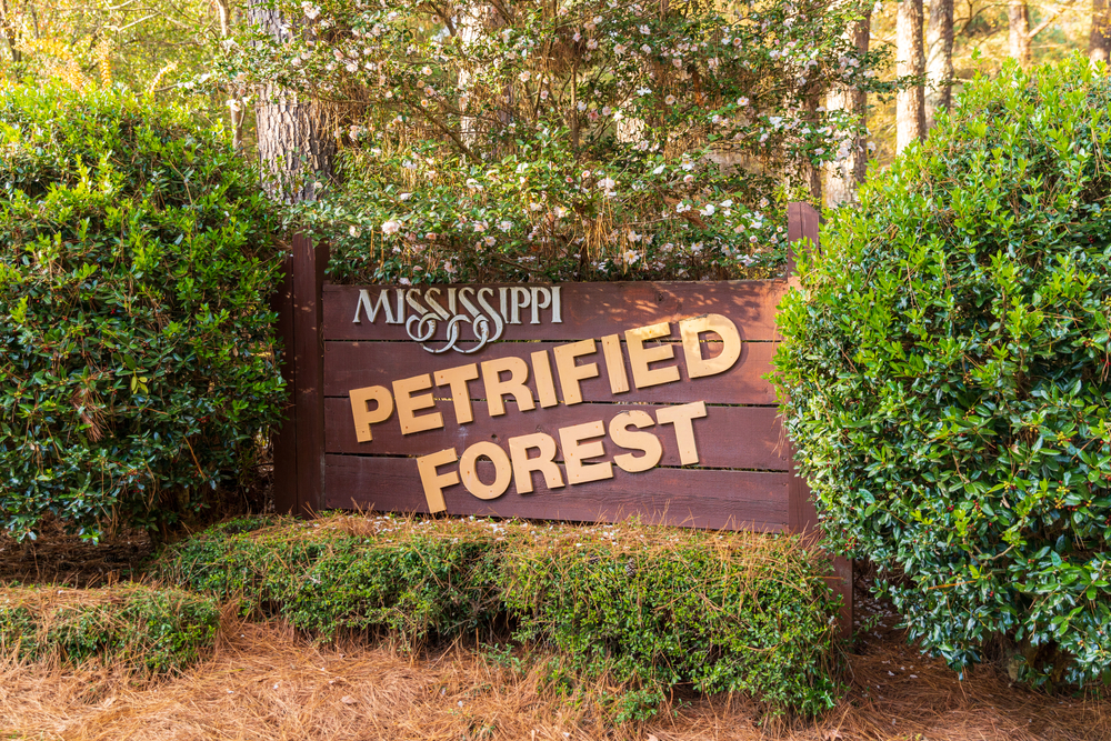 Mississippi Petrified Forest, welcome sign to this natural wonder near Vicksburg Mississippi 