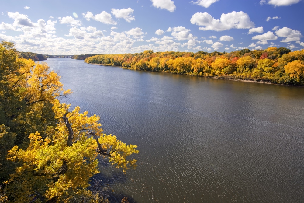 Homochitto National Forest is a great day trip from Vicksburg, MS