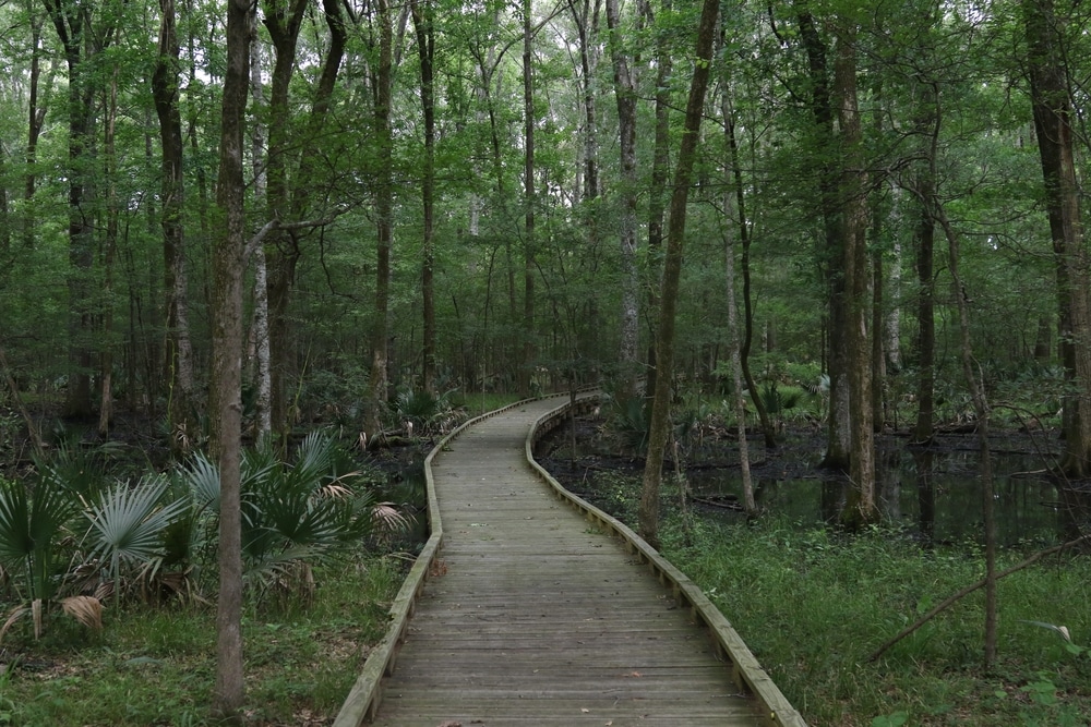 Tensas River National Wildlife Refuge for birdwatching near our bed and breakfast