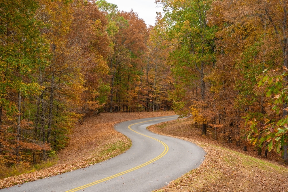 Fun Things to Do in Mississippi This Fall 4 One of the most beautiful and fun things to do in Mississippi is take the Natchez Trace Parkway at peak MS fall foliage.
