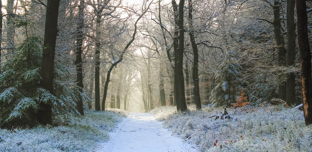 Romantic Winter Getaways near Jackson MS 1 Having a dinner date at a top restaurant is one of the best things to do on romantic winter getaways.